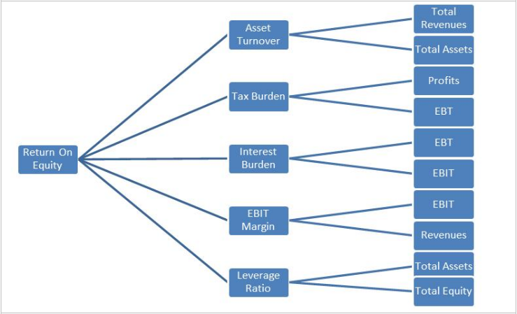 Dupont Chart Analysis